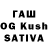 Псилоцибиновые грибы Magic Shrooms Regisha Dzhunusheva