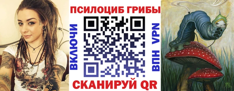 mega ССЫЛКА  Ачхой-Мартан  Галлюциногенные грибы GOLDEN TEACHER  наркота 